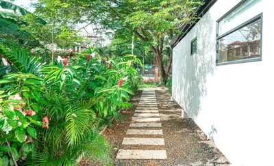 a garden path with plants next to a building at 3BR Peaceful Retreat Walking Distance to Beach in Tamarindo