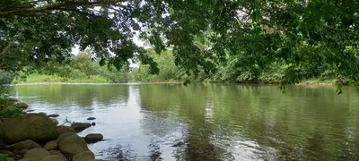a view of a river with rocks and trees at La casita de Antonio en Sarapiqui in Llano Grande