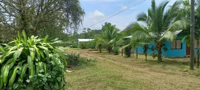 a dirt road next to a blue house with palm trees at La casita de Antonio en Sarapiqui in Llano Grande