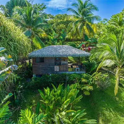 Chalet Jardin Tropical