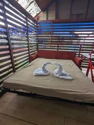 two white swans making a heart on a bed at Alojamiento el Mirador in Tapantí