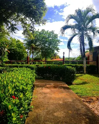 a garden with a palm tree and a walkway at Hotel Nany in Brasilito