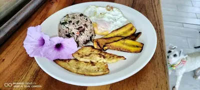 a white plate of food on a table at Liahs tortuguero in Tortuguero