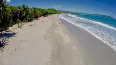 an overhead view of a beach with palm trees and the ocean at Catalina World Class Viewslocationservice! in Sámara