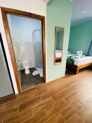 a bathroom with a shower and a toilet and a mirror at Apartamento Lirios del Río in Tortuguero