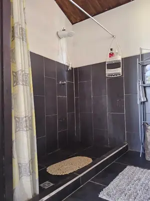 a bathroom with a shower with a black tiled wall at Apartamento Céntrico con Vista in Heredia