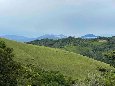 a green hill with trees and mountains in the background at Casa grano de oro in Turín