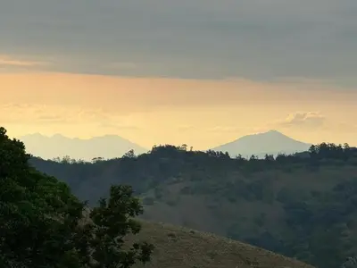 a view of a mountain with trees in the foreground at Casa grano de oro in Turín