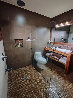 a bathroom with a toilet and a sink and a shower at Mountain View Near SJO Airport Fast WiFi in Alajuela City