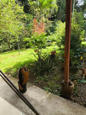 a garden with a porch with two wooden poles at Cabaña escondida Venecia in Venecia