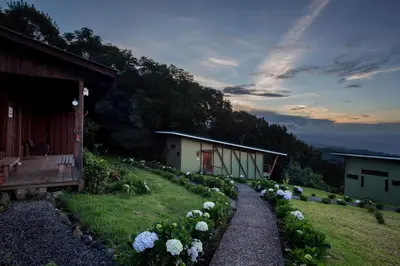 a garden with white flowers next to a building at Chayote Lodge in Zarcero