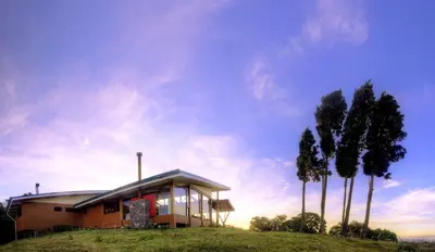 a house on a hill with palm trees at Chayote Lodge in Zarcero