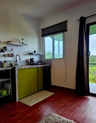 a kitchen with a green sink and a window at Sea song cabin with private waterfall and river in Monteverde Costa Rica