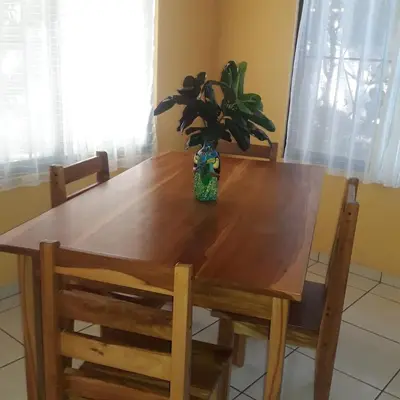 a wooden table with a vase with a plant on it at Casa Esmeralda in Paquera