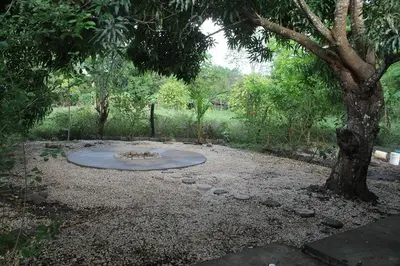 a garden with a tree and a fire pit at Casa Esmeralda in Paquera