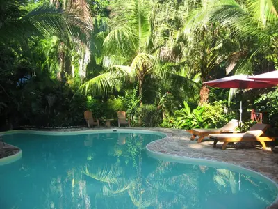 a swimming pool with tables and chairs and palm trees at Hotel El Pequeño Gecko Verde in Sámara