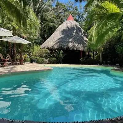 Hotel El Pequeño Gecko Verde