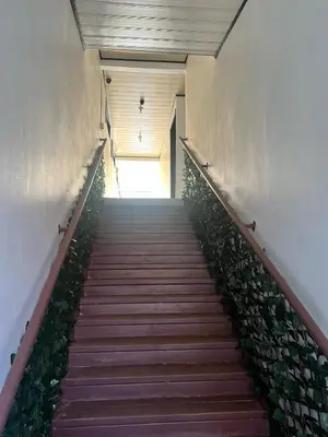 a staircase leading up to a building with plants at Hotel Angsa River View Tortuguero in Tortuguero