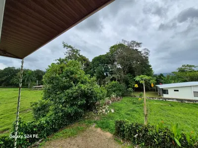 a view of a yard with trees and a house at Guacamaya in Bahia