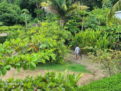 a man walking down a path in a garden at Guacamaya in Bahia