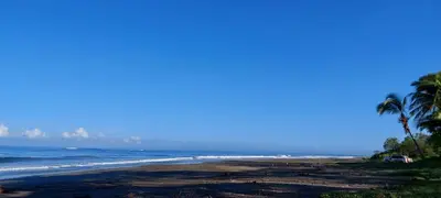 a beach with a palm tree and the ocean at El Castillo Divertido in Paraíso