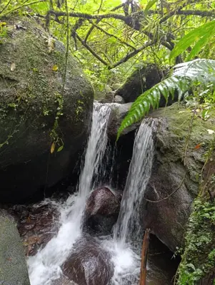 a waterfall in a forest with rocks and plants at Chava Lodge On Tenorio Rio Celeste in Rio Celeste