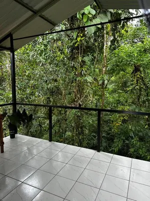 a screened porch with a view of a forest at Chava Lodge On Tenorio Rio Celeste in Rio Celeste