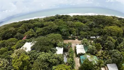 an aerial view of a house in the forest at VED Beach Apt 1 - 1BDR, Pool, Steps to the Beach in Santa Teresa Beach