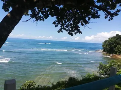 a view of the ocean from a tree at Cabinas La Parcela in Dominicalito
