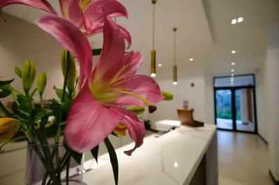 a vase with a pink flower in a room at Ocotea Boutique Hotel in Monteverde Costa Rica