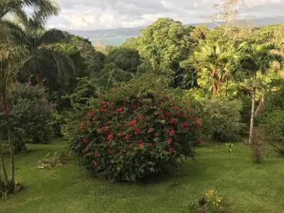 a large bush with red flowers in a garden at La Serenidad in Tronadora