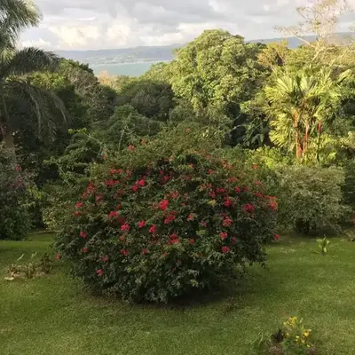 La Serenidad