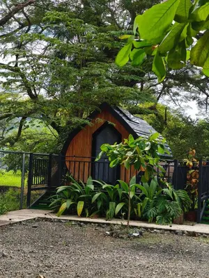 a small house with a black roof in a garden at Rincón del Mar Glamping in Potrero