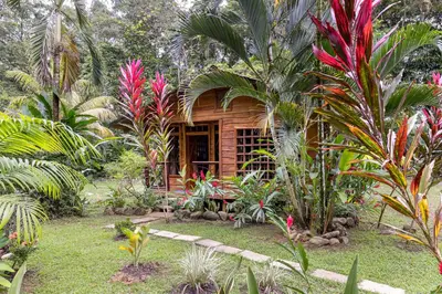 a small wooden house in a garden with plants at Cabinas Mi Sol in Uvita