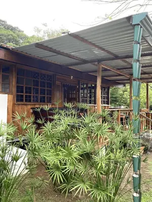 a wooden building with a roof and some plants at Cabinas Mi Sol in Uvita