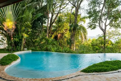 a swimming pool in the middle of a forest at villa colibri in Nicoya