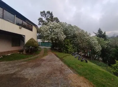 a group of sheep standing in the grass next to a building at Casa Rincón del Monte in Monteverde Costa Rica