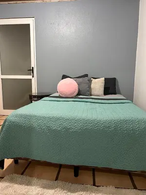 a green bed with a pink pillow on top of it at Apartamento Pequeño descanso San Ramon in San Ramón