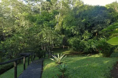 a walkway in a park with trees and grass at El santuario - Cabin by a River in Fortuna