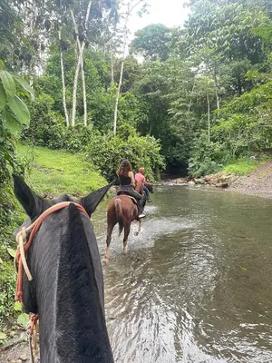 a person on a horse crossing a river at El santuario - Cabin by a River in Fortuna