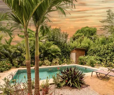 a palm tree and a swimming pool in a garden at Les Voiles Blanches in Tamarindo