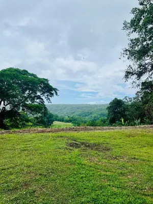 a field of green grass with a tree in the background at Casa Las Brisas del Miravalles in Bagaces