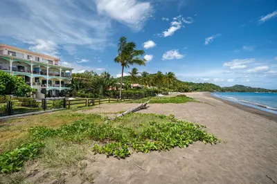 a beach with a building and palm trees and the ocean at Twin Dolphins 2A in Playa Flamingo