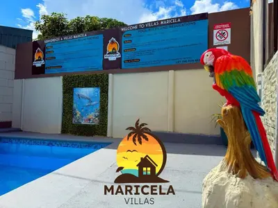 a parrot sitting on a table in front of a pool at Villas Maricela Guanacaste in Chorro