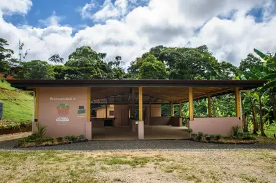 a rendering of a building with trees in the background at La jungla ecolodge in San Juan