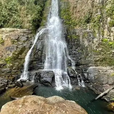 La jungla ecolodge