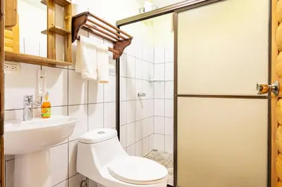 a bathroom with a shower and a toilet and a sink at Hanging Rustic Cabin with Balcony and terrace #4 in Fortuna