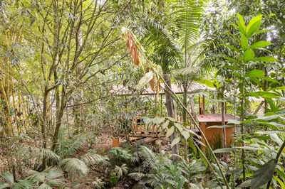 a garden with a wooden bridge in the middle of trees at Hanging Rustic Cabin with Balcony and terrace #4 in Fortuna