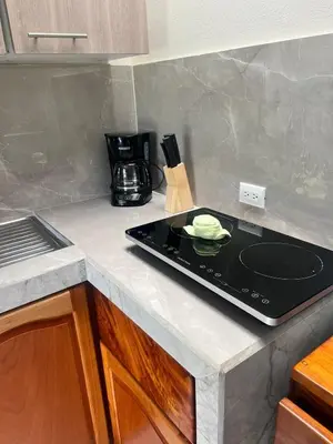 a kitchen counter with a stove top with a plate on it at Apartamento del sol #3 in Tilarán