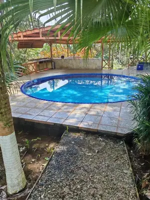 a large swimming pool with a palm tree in front of it at Villa Azul in Abundancia
